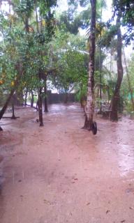 Marari azhiyakathu homestay - Alappuzha - 4