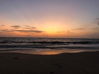 Lemon Dew Beach House, Alleppey Beach - Alleppey - 1