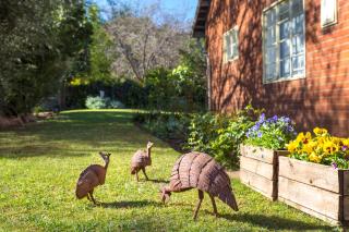 Hillside Guest House - 4