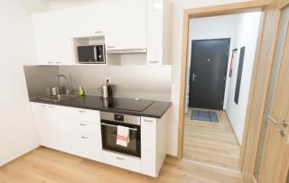 Brand New Modern Stylish Apartment + parking & balcony - 5