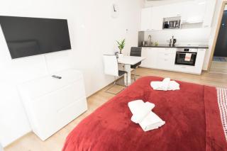 Brand New Modern Stylish Apartment + parking & balcony - 7