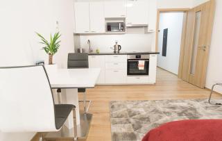 Brand New Modern Stylish Apartment + parking & balcony - 6
