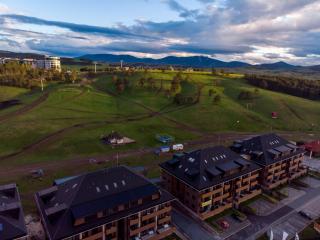 Golden Wood Apartments - Zlatibor - 4