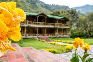 HOTEL IGUAIMA - Ibagué - 4