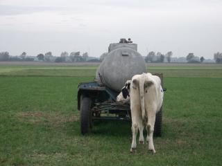 Villa-Meehr - 9