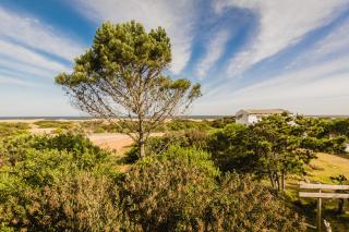 La Cabañita de José Ignacio - José Ignacio - 1