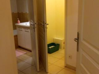 52m2,Terrace&Garage,near Part Dieu station,Lyon Congress Center,Parc Têted'Or - 2