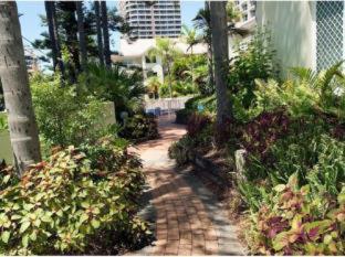 Surfers Tradewinds - Gold Coast - 1