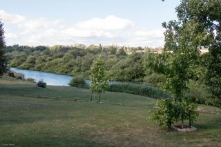 Longford Riverside Caravan Park - Longford - 3
