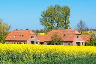 Am Hut - Neukirchen - 0