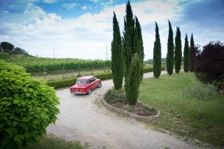 Il Gufo del Chianti - Montespertoli - 8