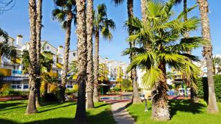 PALMERAS EN LA PLAYA - Beach House in Oliva - Oliva - 9