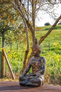 Glamping Turquesa, feel and relax in a wood house - Corredoura - 2
