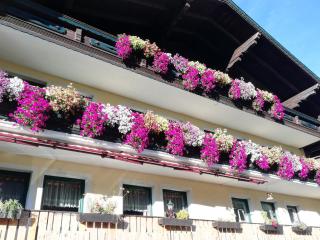 Pichlgut - Radstadt - 6