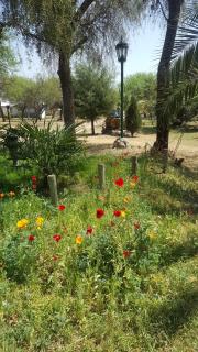 White Field Houses and Spa - 1