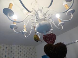 Das Nest Winterberg - Winterberg - 5