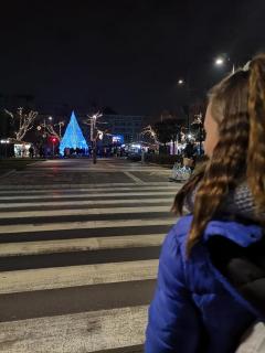Jewelry Box in Central Budapest - 2