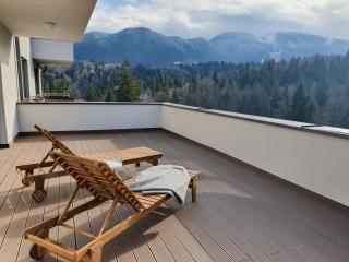 Silver Fox Residence - Poiana Brașov - 0