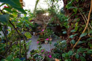 Gil's Guest Rooms - 7