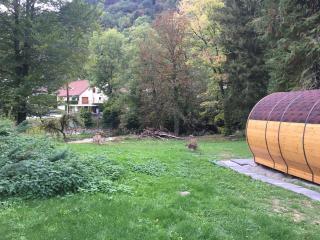 Joly Saint Sauveur - Villard-Saint-Sauveur - 1