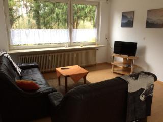 Ponnies Haus - Surwold - 2