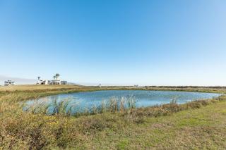Cake by the Ocean at Seagrass - Bolivar Peninsula - 1
