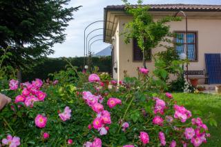Villa Giulia - Avezzano - 9