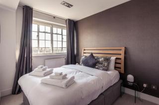 Amanah Properties - Luxury 2 Bed Chelsea Cloisters London Skyline - Londra - 8