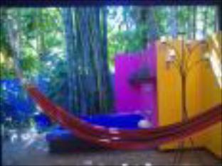 Pink Flamingo Resort - 6