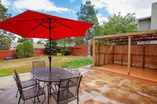 Pet Friendly near AF Academy - 4
