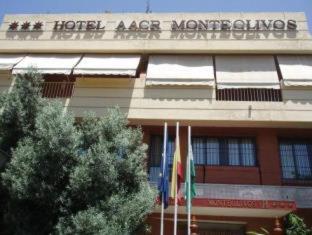 AACR Hotel Monteolivos - 9