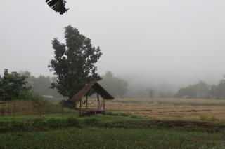 The Countryside Pai - Pai - 2
