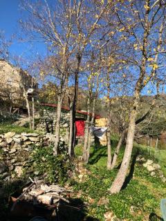 U paliaghju, une cabane de berger pour vivre un dépaysement total - Santa-Lucia-di-Mercurio - 0