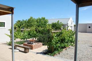 Longacre Olive & Vineyard Estate - Langebaan - 3
