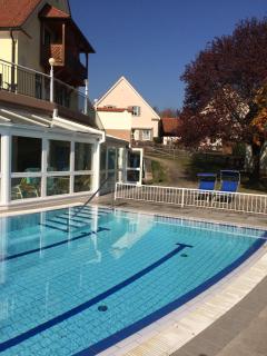 THERMEN - APARTMENT BIODORF Bad Waltersdorf - Bad Waltersdorf - 3