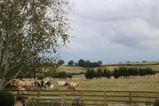The Stables B&B @ Pear Tree Cottage - Winslow - 5