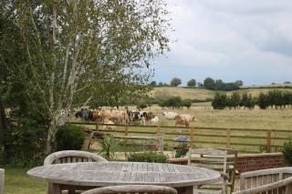 The Stables B&B @ Pear Tree Cottage - Winslow - 4