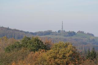 Fewo im Naturpark - Spiegelberg - 9