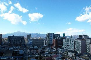 Atsugi Urban Hotel - Atsugi - 4