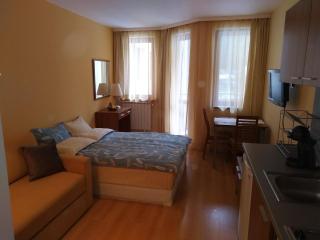 Studio Villa Park 207 - Borowez - 6