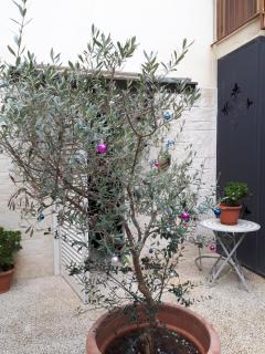 A casa di Rio - Lecce - 1