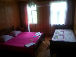 Hotel Kharabadze - Kutaisi - 1