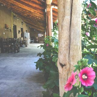 Ecoposada El Mercedario - 4