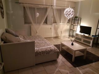 6 Rue de Vieilleville - Metz - 7
