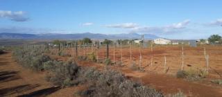 Natures Rest Lapa - Oudtshoorn - 9