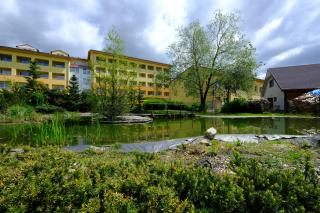 Lipno-Frymburk Wellnes APT D 103 - 8