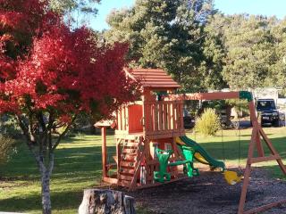 Zeehan Bush Camp - Zeehan - 1