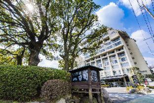 Shiragiku - Beppu - 7