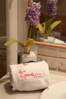 Hotel Mirador de la Cepada - Cangas de Onís - 8