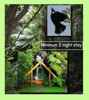 Mount Tutu Eco-Sanctuary - 9